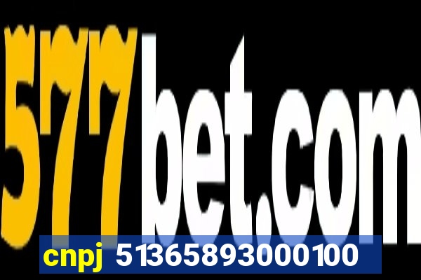 cnpj 51365893000100